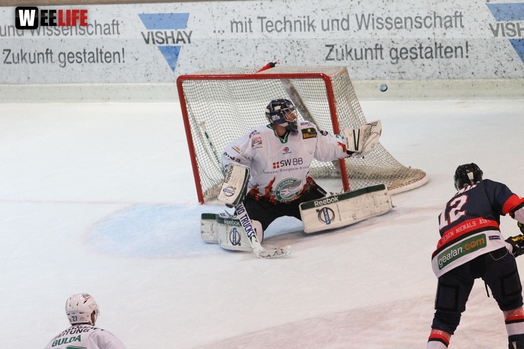 Selber Wölfe - Bietigheim Steelers