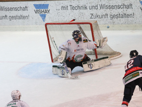 Selber Wölfe - Bietigheim Steelers – Foto 111