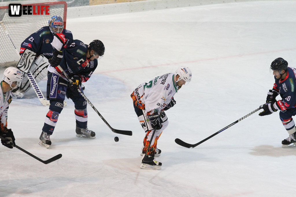 Selber Wölfe - Bietigheim Steelers