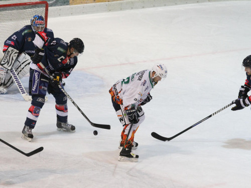 Selber Wölfe - Bietigheim Steelers – Foto 113