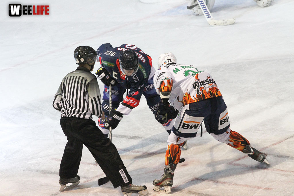 Selber Wölfe - Bietigheim Steelers