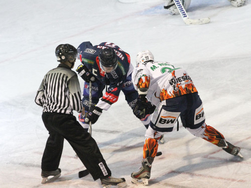 Selber Wölfe - Bietigheim Steelers – Foto 114