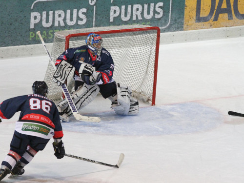 Selber Wölfe - Bietigheim Steelers – Foto 115