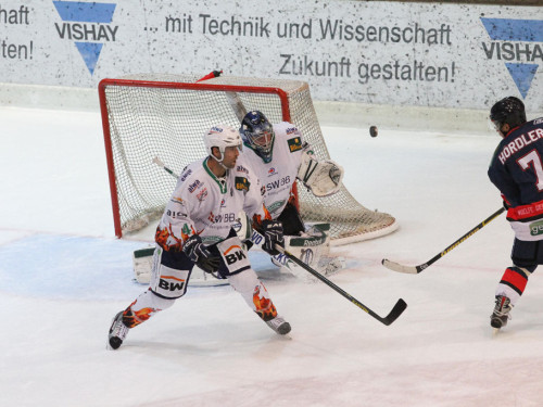 Selber Wölfe - Bietigheim Steelers – Foto 116