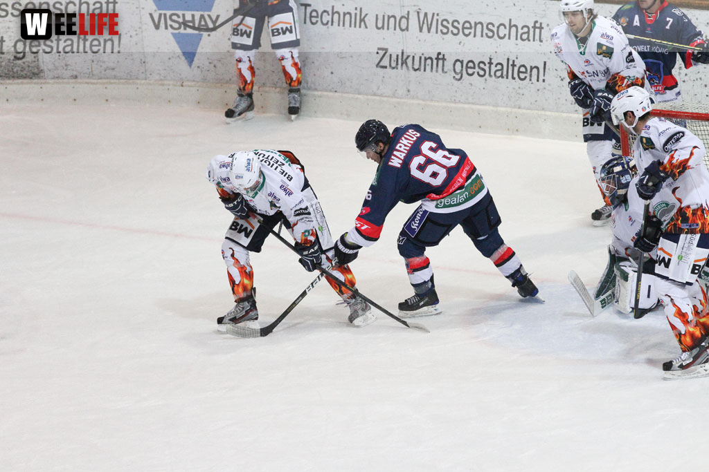 Selber Wölfe - Bietigheim Steelers