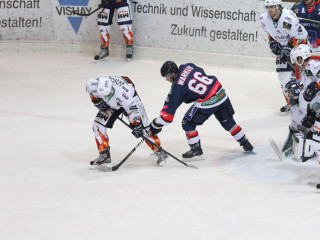 Vorschau des vorherigen Fotos