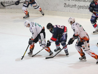 Foto 37223 im Album