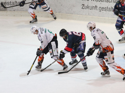 Selber Wölfe - Bietigheim Steelers – Foto 118
