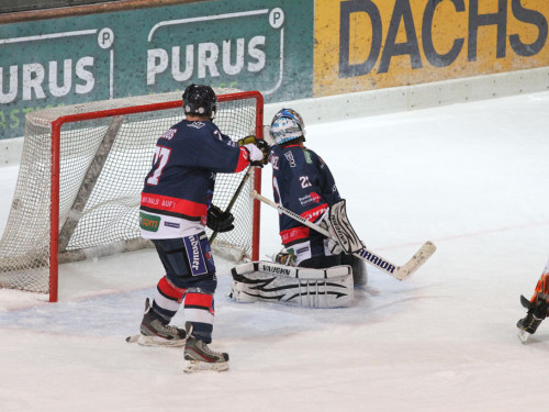 Selber Wölfe - Bietigheim Steelers – Foto 120