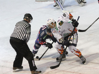 Foto 37232 im Album