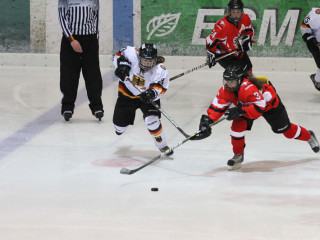 Foto 37463 im Album