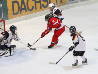 Foto 37714 im Album