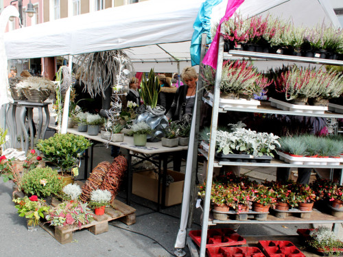 Herbstmarkt Teil 2 – Foto 19