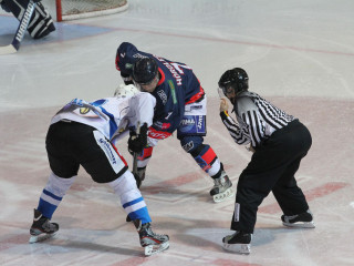Foto 38000 im Album