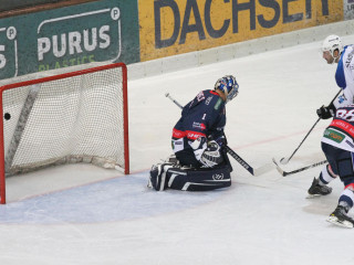 Foto 38143 im Album