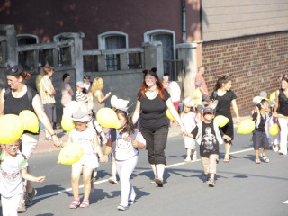 Foto 38272 im Album