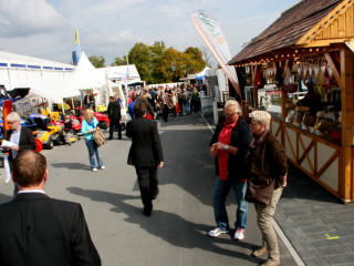 Vorschau des nächsten Fotos