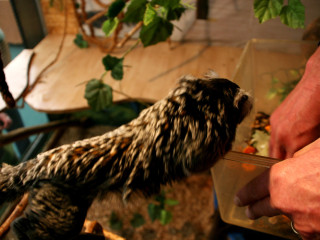 Foto 38540 im Album