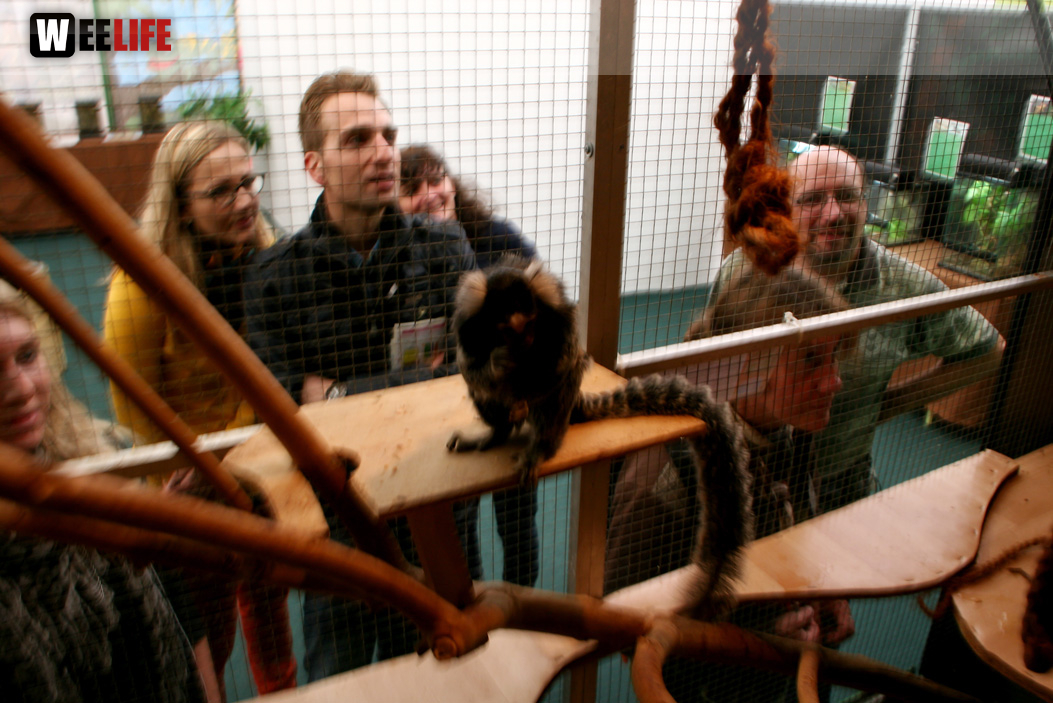 Oberfranken-Ausstellung Hof