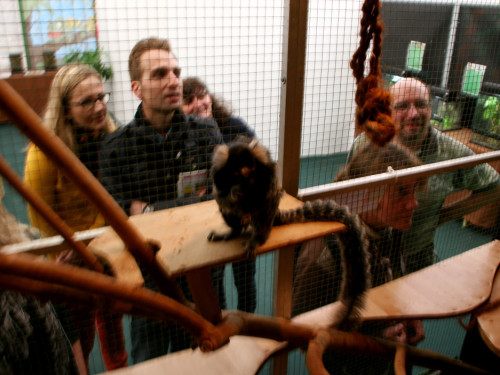 Oberfranken-Ausstellung Hof – Foto 56