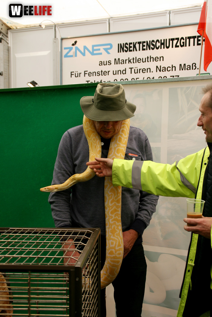 Oberfranken-Ausstellung Hof