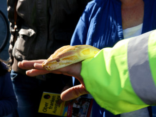 Foto 38760 im Album