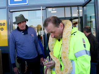 Foto 38761 im Album