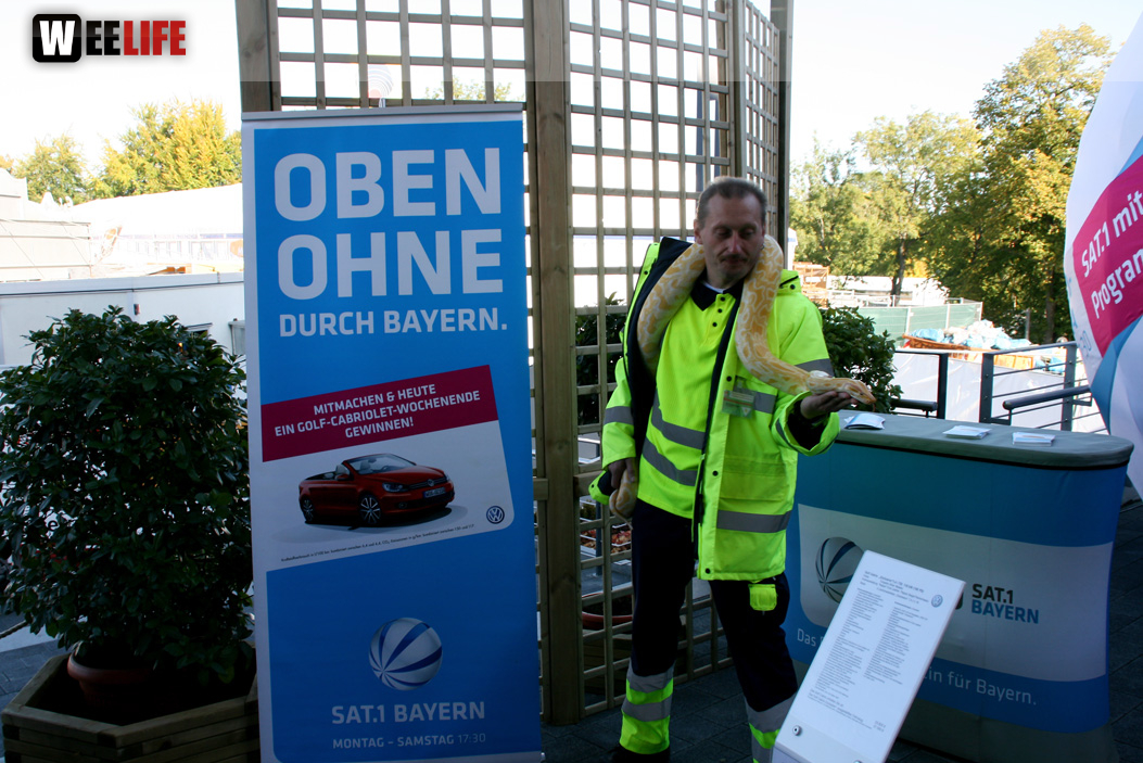 Oberfranken-Ausstellung Hof