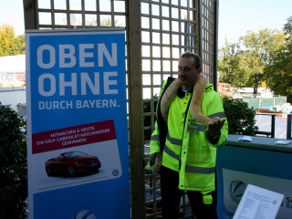 Foto 38774 im Album