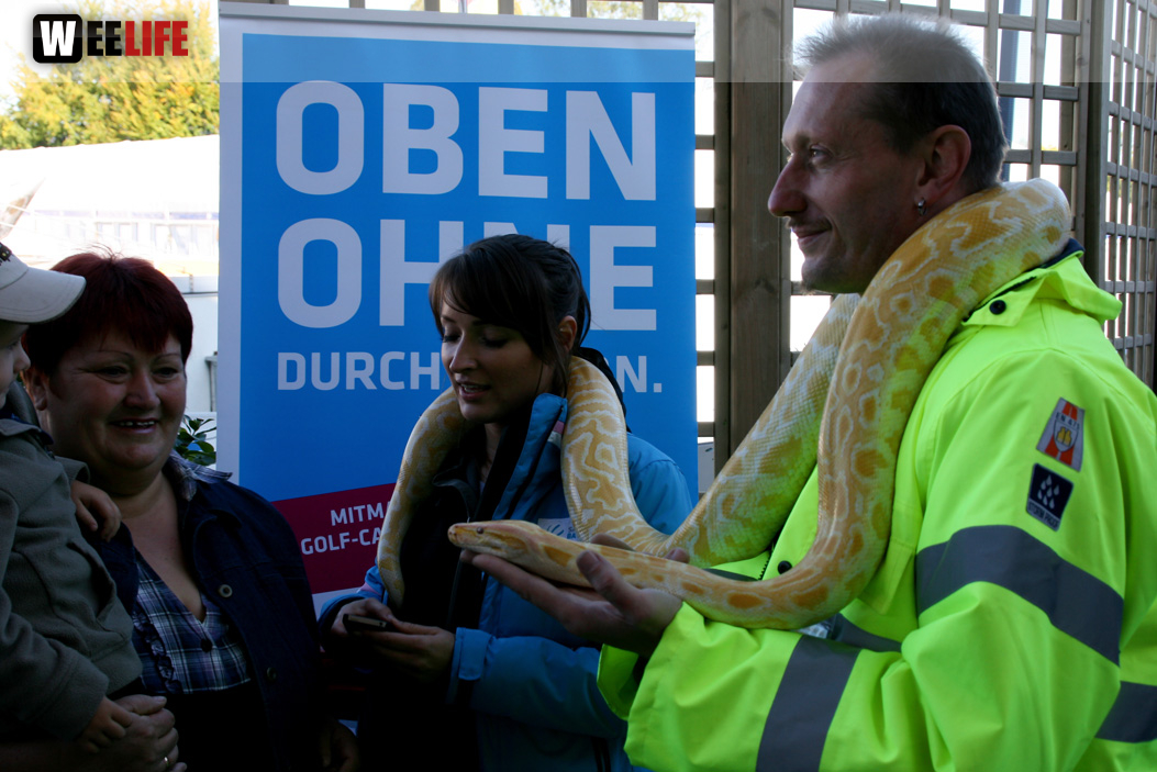 Oberfranken-Ausstellung Hof