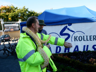 Foto 38790 im Album