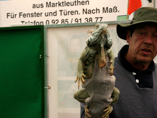 Oberfranken-Ausstellung Hof – Foto 78