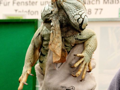 Oberfranken-Ausstellung Hof – Foto 79