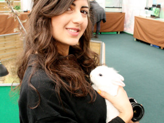 Foto 38826 im Album