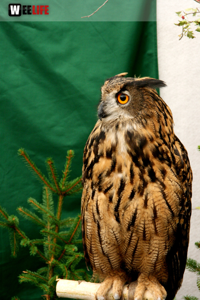 Oberfranken-Ausstellung Hof