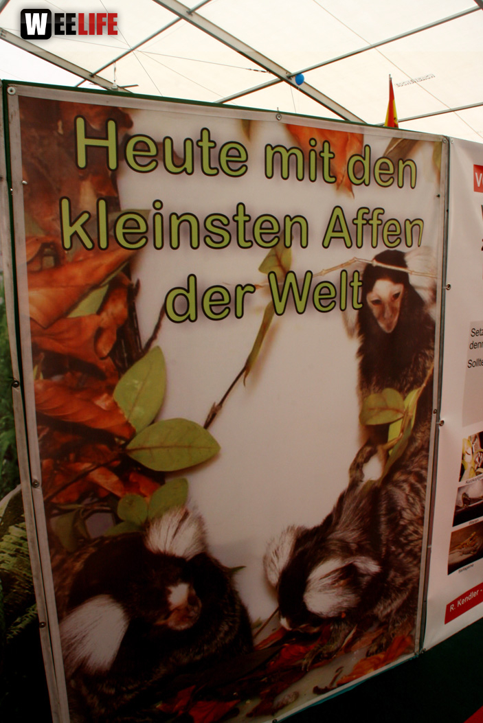 Oberfranken-Ausstellung Hof