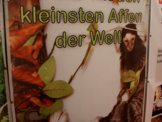 Foto 38853 im Album