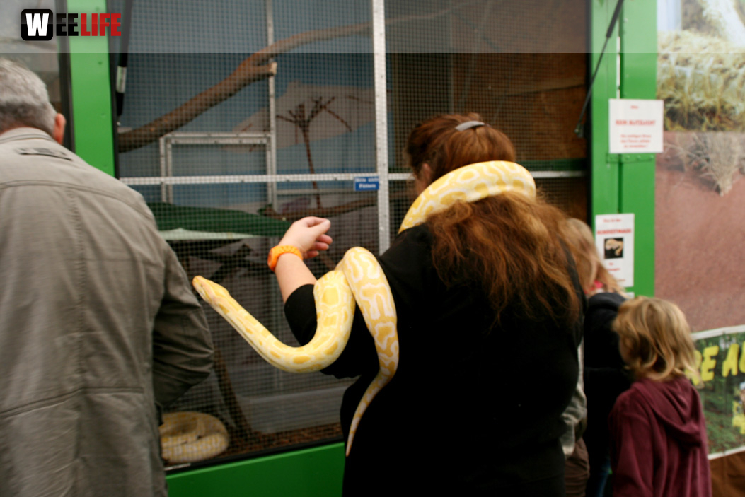Oberfranken-Ausstellung Hof