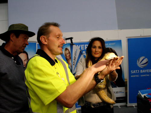 Oberfranken-Ausstellung Hof – Foto 127