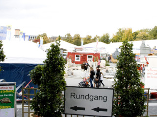 Foto 39474 im Album