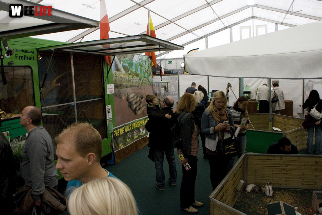 Oberfranken-Ausstellung Hof