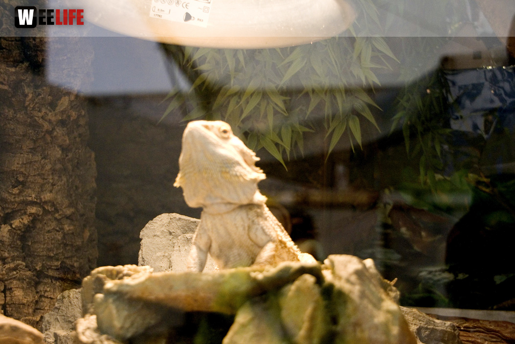 Oberfranken-Ausstellung Hof