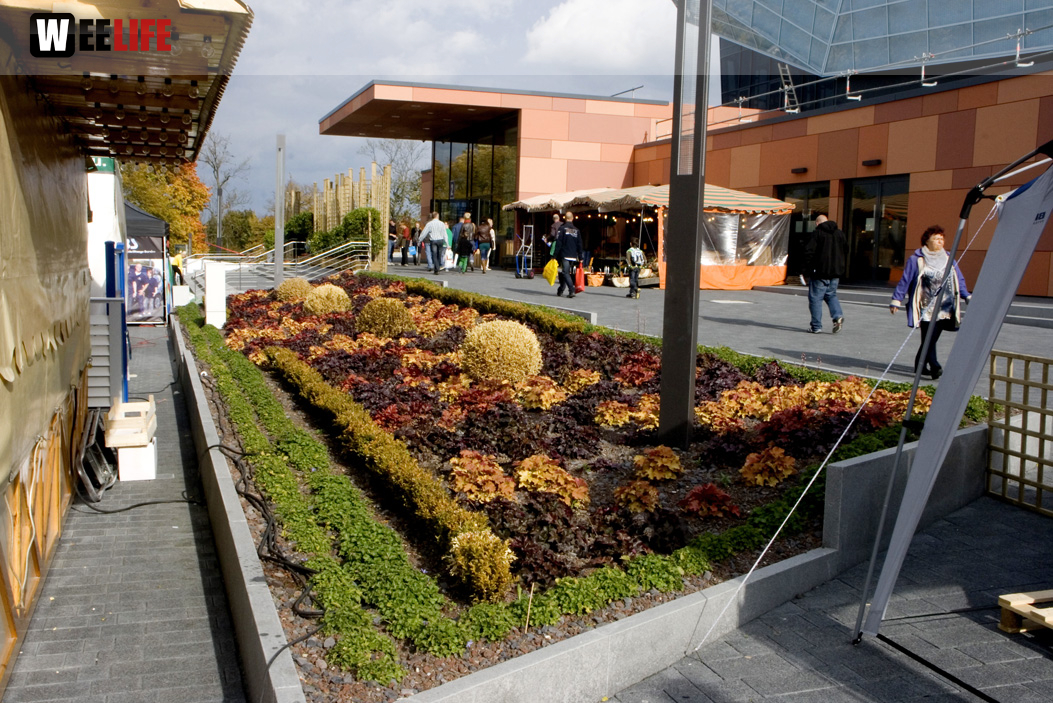 Oberfranken-Ausstellung Hof