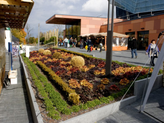Foto 39520 im Album
