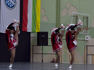 Foto 40000 im Album
