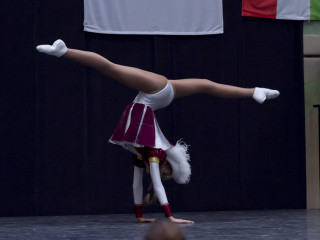 Foto 40020 im Album