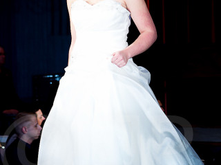Foto 40091 im Album
