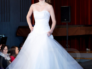 Foto 40093 im Album