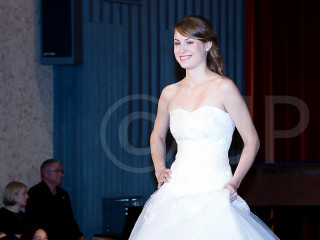 Foto 40097 im Album