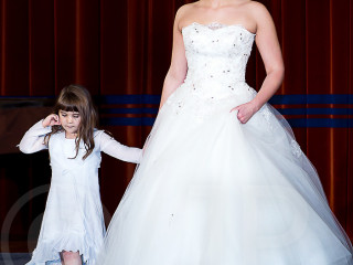Foto 40099 im Album